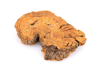 Chinese medicine rhubarb on white background