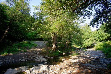 Buccatoggio river in Costa Verde mountain. Corsica island