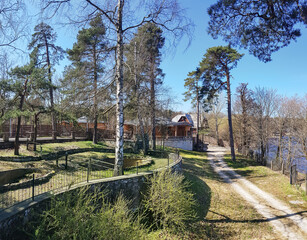 Green terraced coast with pine and birch trees near Kisezers lake in Riga, Latvia