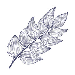 Obraz premium Tropical brunch with leaves in linear style. Exotic hand drawn leaf in trendy style collection. Minimalistic tropic leaves vector illustration. Isolated on white background.