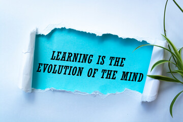 Inspirational motivational quote. Learning is the evolution of the mind.