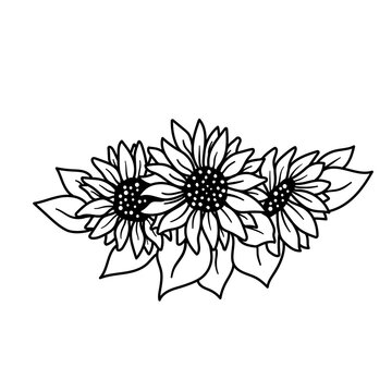 Black and white sunflower botanical illustration.