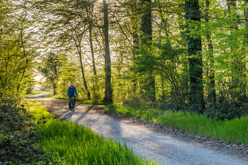 Obraz premium Man cycling through the forest in the spring afternoon light