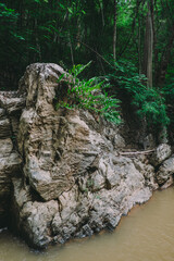 The river runs through the middle of the valley in the forest.