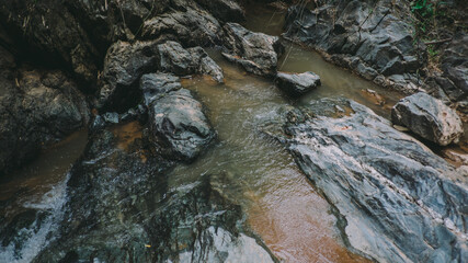 The river runs through the middle of the valley in the forest.