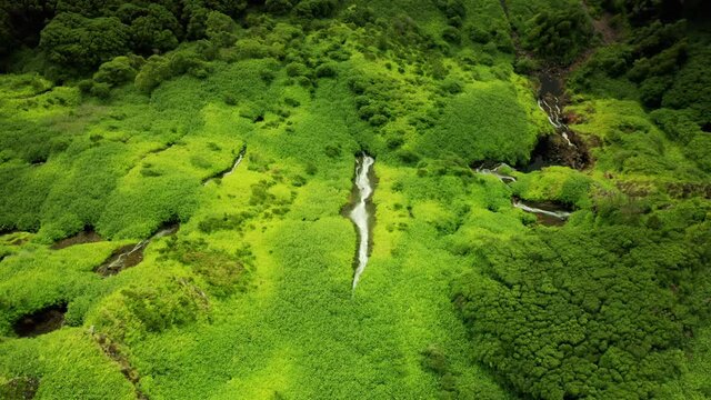 Amazing green mountains with waterfalls of Poco Ribeira do Ferreiro, Alagoinha, Flores Island, Azores, Portugal, Europe. Flowing waterfalls down the mountains, 4k footage