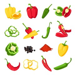 Pepper and paprika. Red, green and yellow sweet, hot and spicy peppers. Jalapeno, capsicum, cayenne and chili spice for sauce, vector set