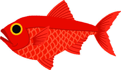 キンメダイのイラスト