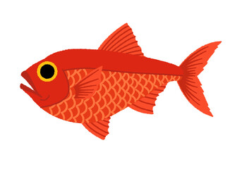 キンメダイのイラスト