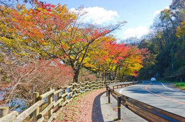 Nature trail around Lake Haruna in autumn