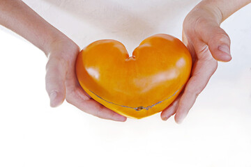An ugly organic vegetable in children's hands-one yellow tomato of a strange shape. Horizontal orientation. Buying imperfect foods is a way to deal with food waste. Horizontal.