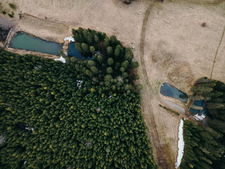 A toy train on a train track with trees in the background