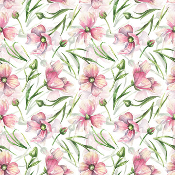 Botanical pink floral seamless pattern. Watercolor romatic flowers on a white background. Fresh tender design for invitation, wedding or greeting cards, textiles, wrapping paper © Tonia Tkach
