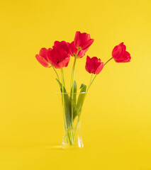 fresh red tulips whith green leaves in the vase on sunny bright yellow background. aesthetic art. minimal summer background