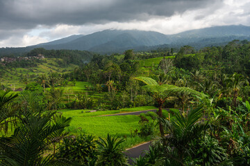 Fototapeta na wymiar Beautiful landscape of rice paddy and mountains in Bali island in cloudy day, Bali island in Indonesia