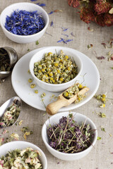 Assortment of dry herbs: chamomile, apple tree flowers, cornflower, lavender, thyme on rustic linen texture, closeup, natural medicine, naturopathy, homeopathy, making tea blends concept