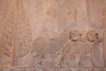 Persepolis, Apadana-Treppenhausfassade, Antikes Relief der Achämeniden, in Shiraz