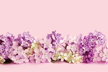 In bloom. Assorted tender monochrome lilac spring summer flowers garland on pink background with copy space. Birthday celebration or wedding invitation card