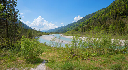 nature reserve landscape Obere Isar river, upper bavaria