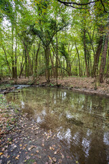 Oasi La Fagiana - Parco del Ticino