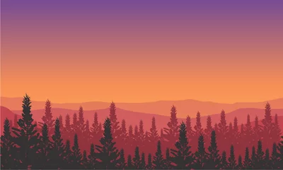 Selbstklebende Fototapete Wald im Nebel Beautiful mountain scenery with the silhouette of pine trees around it at sunset. Vector illustration