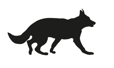 Running german shepherd dog puppy. Black dog silhouette. Isolated on a white background.