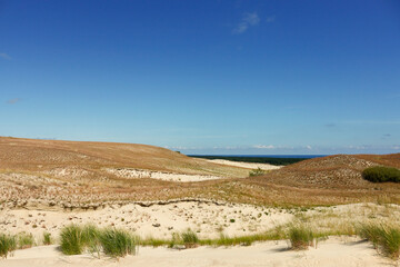 Fototapeta na wymiar Beautiful landscape with sand dunes and blue sky