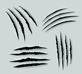 Claw scratches. Animal claw marks, claw scratches from animal attacks. Vector realistic image 