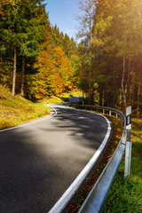 Straße durch den herbstlichen Wald, Bäume, goldener Herbst