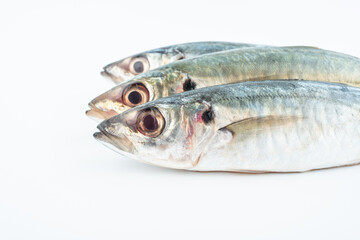 Fresh balang fish on white background