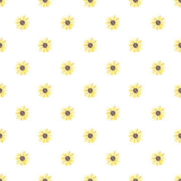 Watercolor seamless pattern with flowers of sunflower on a white background