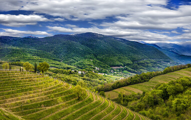 Fototapeta na wymiar View on Sabotin in From Goriska Brda in Slovenia