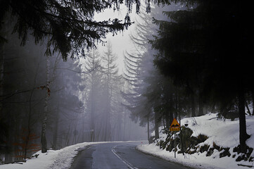 Way near Szklarska Poreba in fog, forest, landscape, polish mountains, snow, shadows, green trees, white, blue