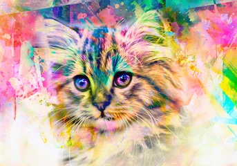 Poster Im Rahmen cat head with creative colorful abstract elements on light background © reznik_val