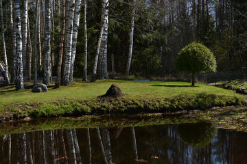 pond in a recreation area in the woods with red herbs on a warm summer day.