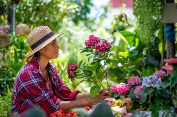 Foto op Canvas Young Asian woman caring for plants in a small garden . Holding a potted white hydrangea plant watering flower pots. Sitting on knees in the walkway between plants. Lifestyle joy happy freedom day. © 15Studio