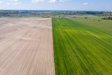 sown agricultural field, view from above
