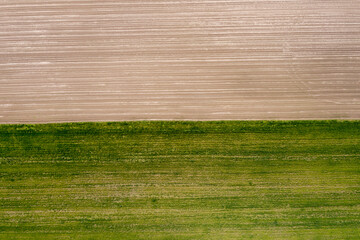 sown agricultural field, view from above
