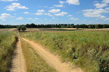 Dirt road and fields, natural landscape in Lower Silesia, Poland. Beautiful summer with blue sky.