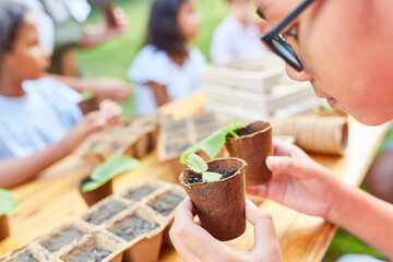 Boy with seedlings in the ecological holiday camp