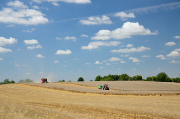 Obraz premium Yellow fields during harvest season, natural landscape in Lower Silesia, Poland. Beautiful summer with blue sky.