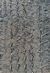 Textured traces, tread on dirty from the ground, sand, wet asphalt, from a truck. Photography, concept. Bad, bumpy road.