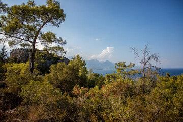 Mountain path between Kemer and Kirish. Top view from the mountain to the sea. Mountain landscape. Mountain nature. A walk in the mountain forest. Trees in the mountains.