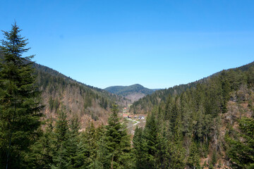 mountain panorama shot in black forest with sunshine under blue sky