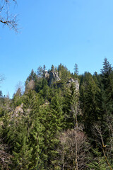 castle burg Burgbach pavillon in Bad Rippoldsau in the black forest in germany
