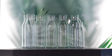 A group of glass transparent vases or identical bottles standing on the shelves, large green leaves of tropical plants