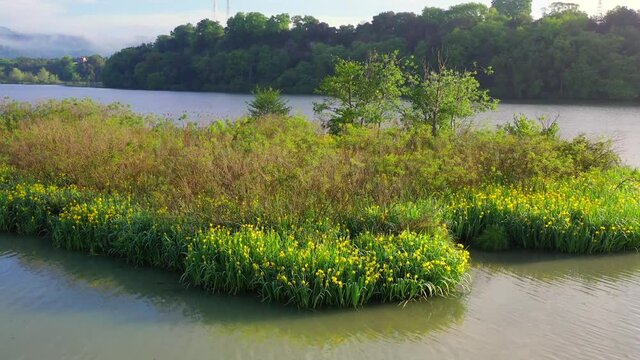 Tevere Farfa Nature Reserve, Nazzano, Lazio, Italy.
The river valley of the Tiber north of Rome. Aerial view with drone in 4K