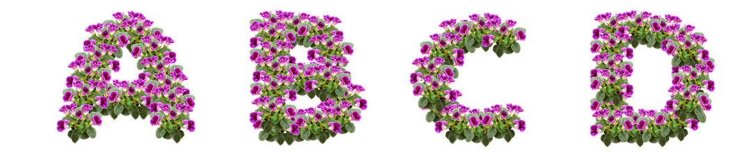 The letters A, B, C, D are made of purple flowers and leaves