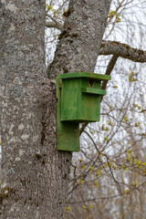 A wooden bird cage nailed to a tree bark in early spring