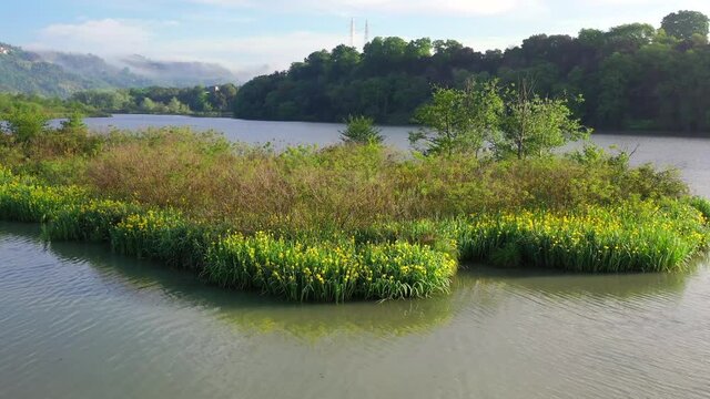 Tevere Farfa Nature Reserve, Nazzano, Lazio, Italy.
The river valley of the Tiber north of Rome. Aerial view with drone in 4K